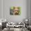 Yorkshire Terrier Looking Up at You-Zandria Muench Beraldo-Photographic Print displayed on a wall