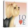 Yorkshire Terrier Love-Tomoyo Pitcher-Stretched Canvas