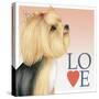 Yorkshire Terrier Love-Tomoyo Pitcher-Stretched Canvas