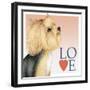 Yorkshire Terrier Love-Tomoyo Pitcher-Framed Giclee Print