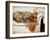 Yorkshire Terrier Lying on Couch-Adriano Bacchella-Framed Photographic Print