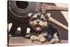 Yorkshire Terrier Puppy laying by wooden wheel-Zandria Muench Beraldo-Stretched Canvas