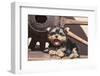 Yorkshire Terrier Puppy laying by wooden wheel-Zandria Muench Beraldo-Framed Photographic Print