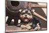 Yorkshire Terrier Puppy laying by wooden wheel-Zandria Muench Beraldo-Mounted Photographic Print