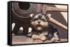 Yorkshire Terrier Puppy laying by wooden wheel-Zandria Muench Beraldo-Framed Stretched Canvas