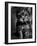 Yorkshire Terrier Puppy Portrait-Adriano Bacchella-Framed Photographic Print