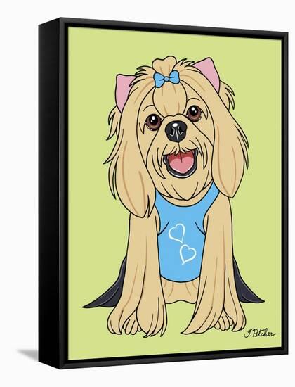 Yorkshire Terrier Showcut-Tomoyo Pitcher-Framed Stretched Canvas