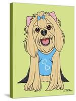 Yorkshire Terrier Showcut-Tomoyo Pitcher-Stretched Canvas