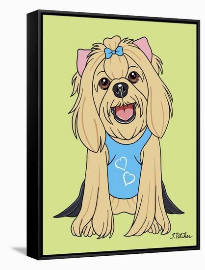 Yorkshire Terrier Showcut-Tomoyo Pitcher-Framed Stretched Canvas