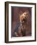 Yorkshire Terrier Studio Portrait-Adriano Bacchella-Framed Premium Photographic Print