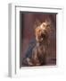 Yorkshire Terrier Studio Portrait-Adriano Bacchella-Framed Premium Photographic Print