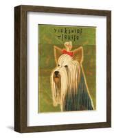 Yorkshire Terrier-John Golden-Framed Art Print