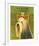 Yorkshire Terrier-John Golden-Framed Giclee Print