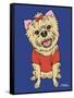 Yorkshire Terrier-Tomoyo Pitcher-Framed Stretched Canvas