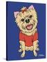 Yorkshire Terrier-Tomoyo Pitcher-Stretched Canvas