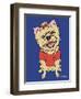 Yorkshire Terrier-Tomoyo Pitcher-Framed Giclee Print