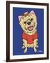 Yorkshire Terrier-Tomoyo Pitcher-Framed Giclee Print