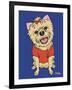 Yorkshire Terrier-Tomoyo Pitcher-Framed Giclee Print