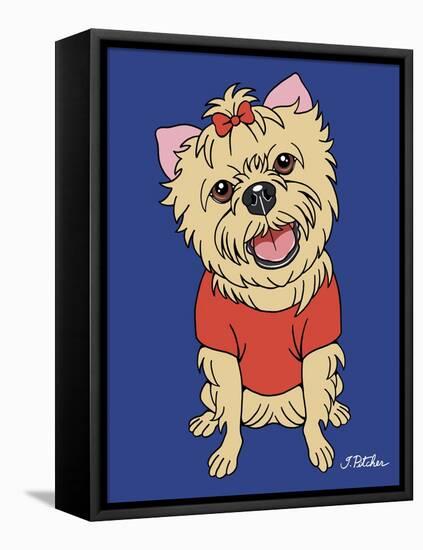 Yorkshire Terrier-Tomoyo Pitcher-Framed Stretched Canvas