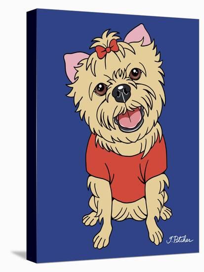 Yorkshire Terrier-Tomoyo Pitcher-Stretched Canvas