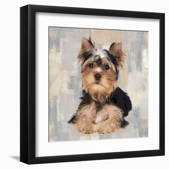 Yorkshire Terrier-Keri Rodgers-Framed Art Print