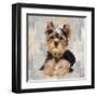 Yorkshire Terrier-Keri Rodgers-Framed Art Print