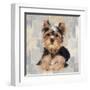 Yorkshire Terrier-Keri Rodgers-Framed Art Print