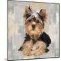 Yorkshire Terrier-Keri Rodgers-Mounted Art Print