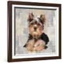 Yorkshire Terrier-Keri Rodgers-Framed Art Print