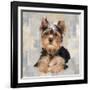 Yorkshire Terrier-Keri Rodgers-Framed Art Print