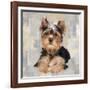 Yorkshire Terrier-Keri Rodgers-Framed Art Print