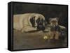 Yorky and Mastif-Solveiga-Framed Stretched Canvas
