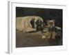 Yorky and Mastif-Solveiga-Framed Giclee Print