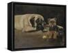 Yorky and Mastif-Solveiga-Framed Stretched Canvas