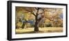 Yosemite Black Oaks-Loren Soderberg-Framed Giclee Print