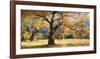 Yosemite Black Oaks-Loren Soderberg-Framed Giclee Print