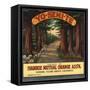 Yosemite Brand - Ivanhoe, California - Citrus Crate Label-Lantern Press-Framed Stretched Canvas