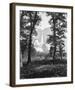 Yosemite Falls 2630 ft., Yosemite-Carleton E Watkins-Framed Giclee Print