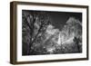 Yosemite Falls after a winter storm, Yosemite National Park, California, USA-Russ Bishop-Framed Photographic Print