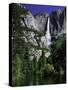 Yosemite Falls and Merced River-Doug Meek-Stretched Canvas