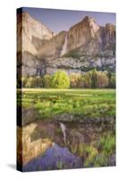 Yosemite Falls and Spring Reflection-Vincent James-Stretched Canvas