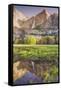 Yosemite Falls and Spring Reflection-Vincent James-Framed Stretched Canvas