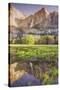 Yosemite Falls and Spring Reflection-Vincent James-Stretched Canvas