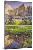 Yosemite Falls and Spring Reflection-Vincent James-Mounted Photographic Print