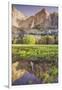 Yosemite Falls and Spring Reflection-Vincent James-Framed Photographic Print