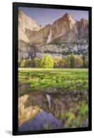 Yosemite Falls and Spring Reflection-Vincent James-Framed Photographic Print