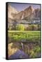 Yosemite Falls and Spring Reflection-Vincent James-Framed Stretched Canvas