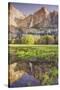 Yosemite Falls and Spring Reflection-Vincent James-Stretched Canvas