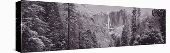 Yosemite Falls, California, USA-null-Stretched Canvas