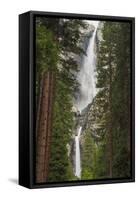 Yosemite Falls, California, Usa-Russ Bishop-Framed Stretched Canvas